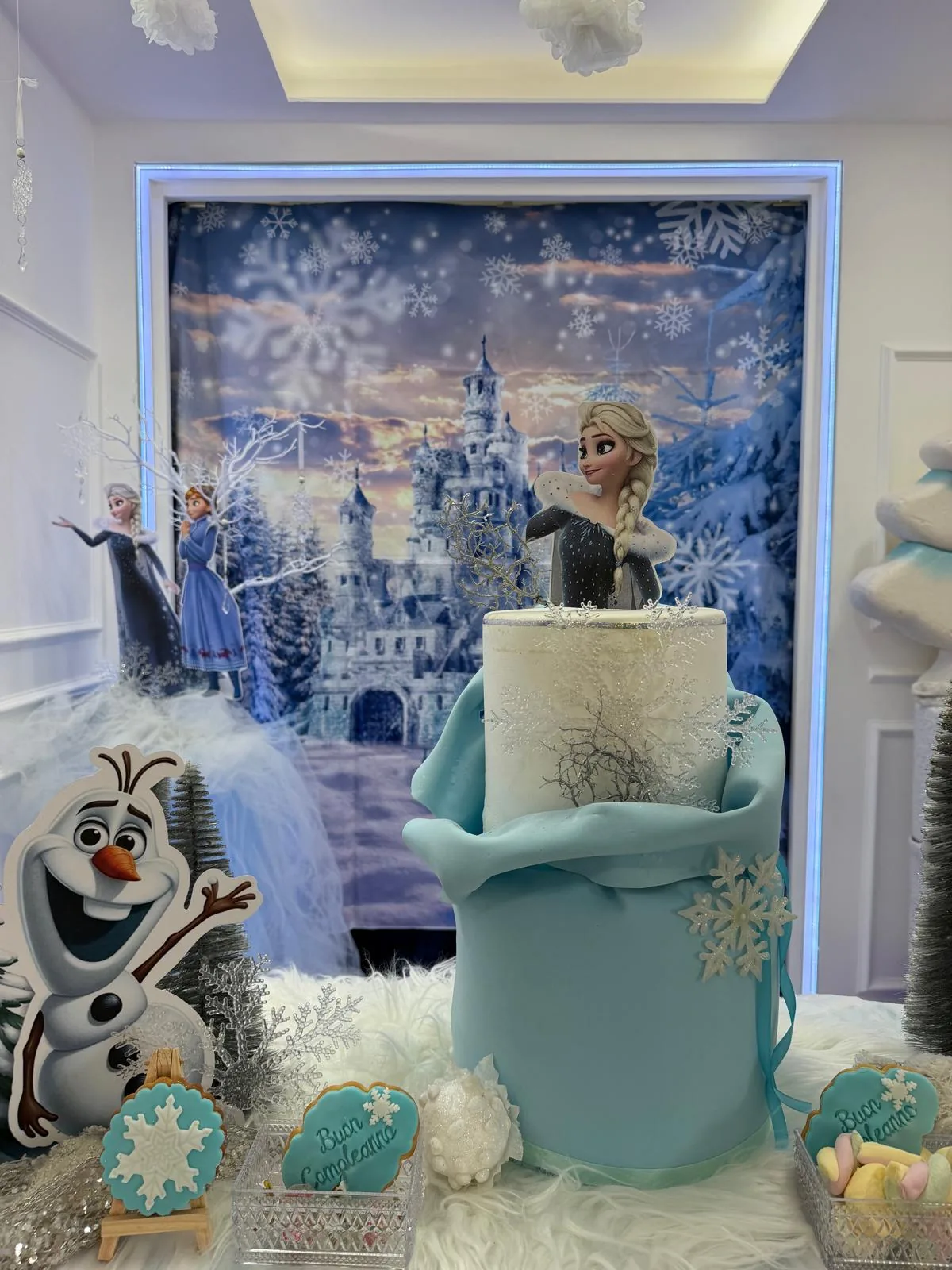 Allestimento autentico a tema Frozen
